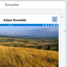 Przycisk przydzielenia lidera